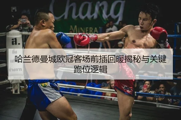 哈兰德曼城欧冠客场前插回暖揭秘与关键跑位逻辑
